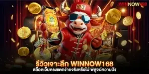 รีวิวเจาะลึก winnow168